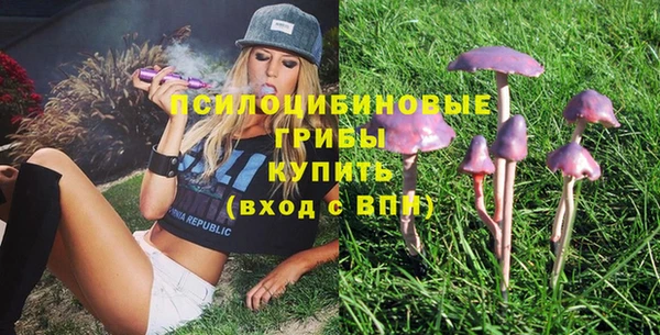 кокс Михайлов