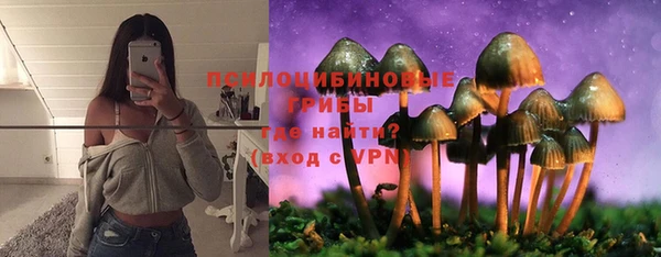а пвп мука Алзамай